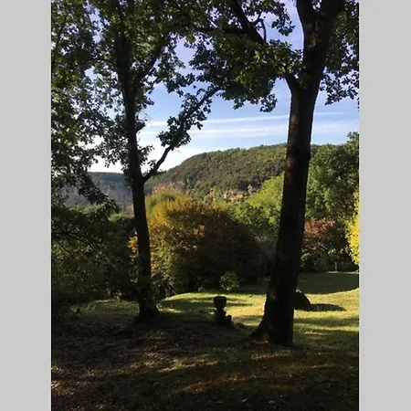 La Vue D'or